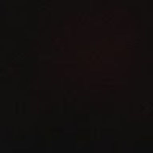 Meet your Posher, Refugio